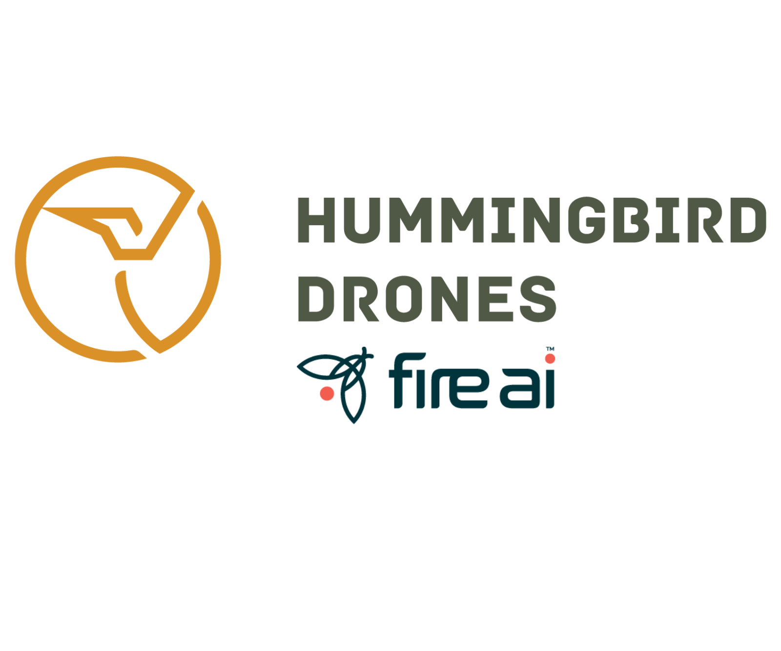 Hummingbird drones