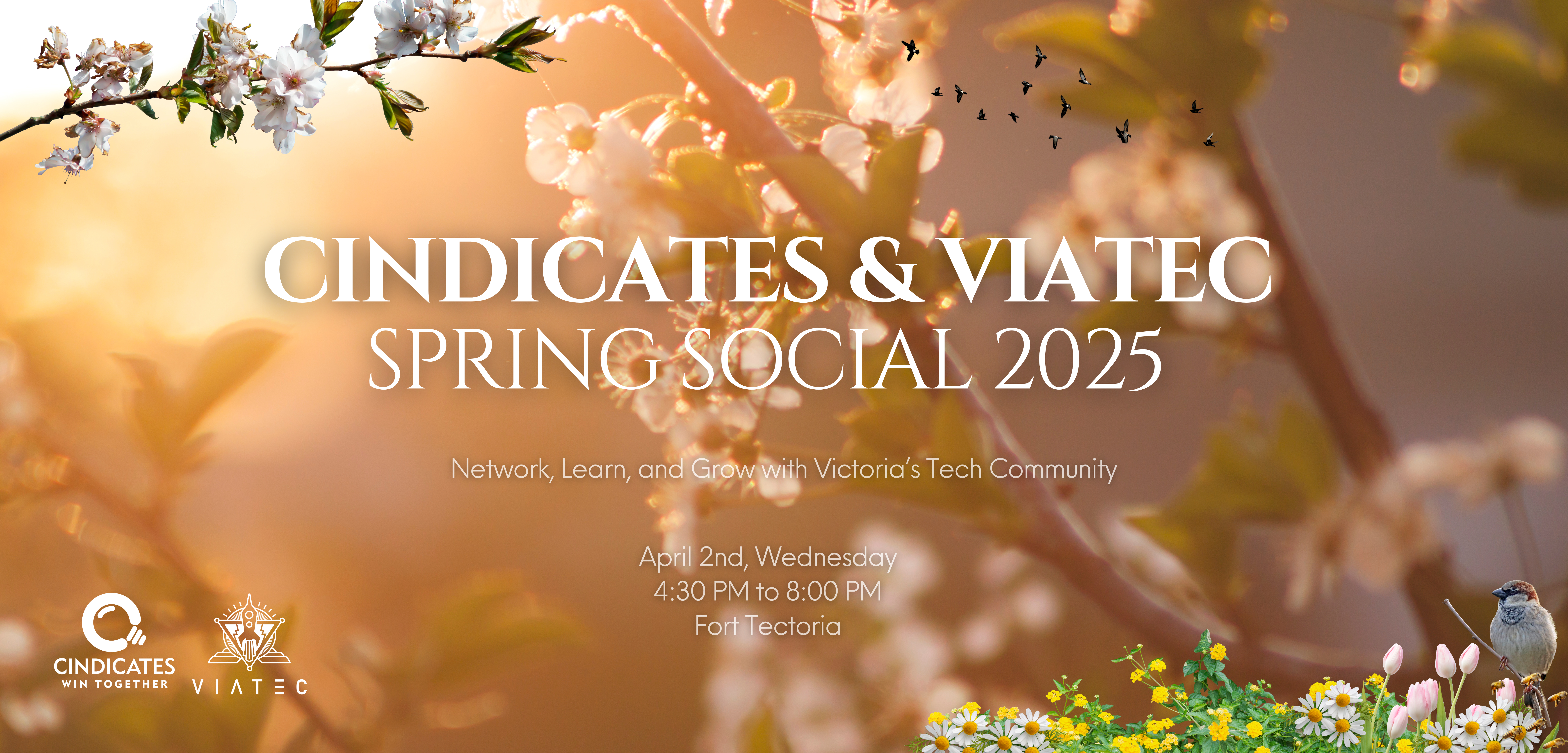 Cindicates & VIATEC Spring Social 2025