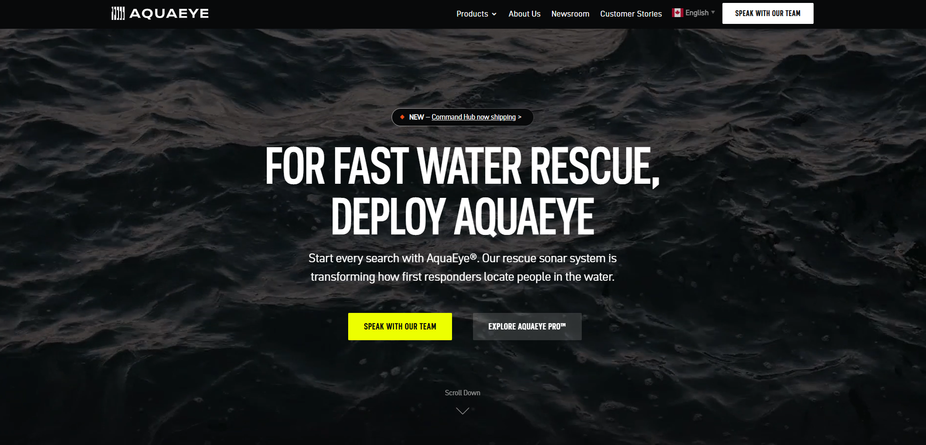 Aquaeye webscreen